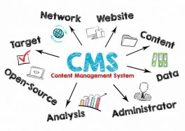 cms website management wordpress