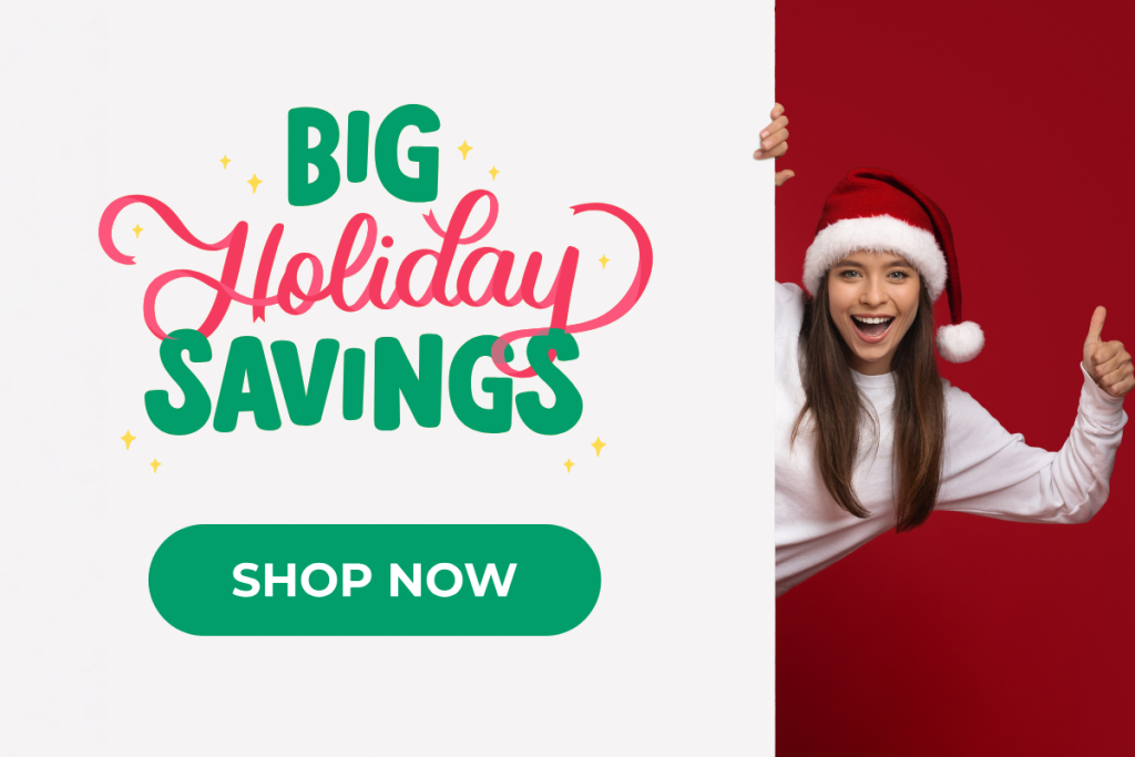 Big Holiday Savings promotion with a Shop Now button matching the offer a visitor clicked