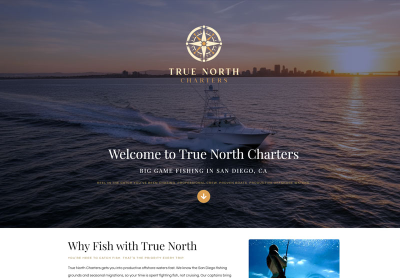 web gallery-tnc